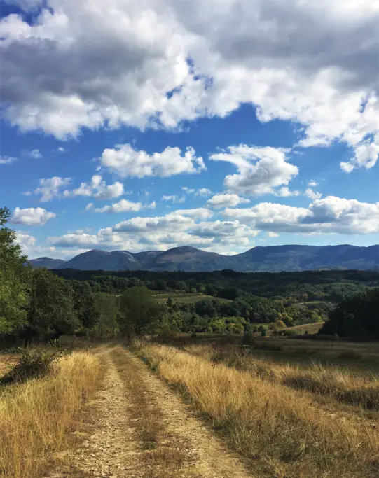 Сврљишке планине